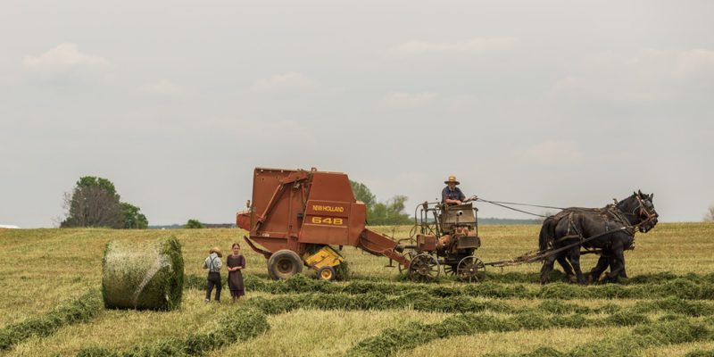 Farmers Farm Things